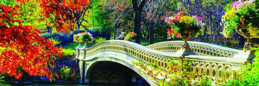 Romantic Bridge Autumn Flowers Attractions Dreams Photography Creative Pre Fall Seasons Outdoor Trees Bridges Architecture Gardening Love Gallery