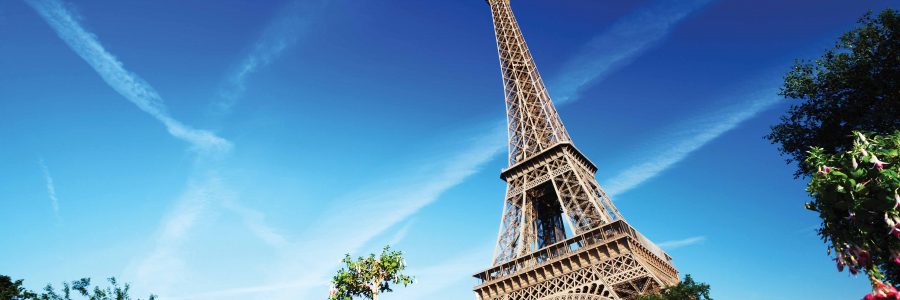 Cities_____Flowers_near_the_Eiffel_tower_088508_light