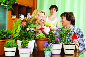 Женщины за столом с комнатными цветами
