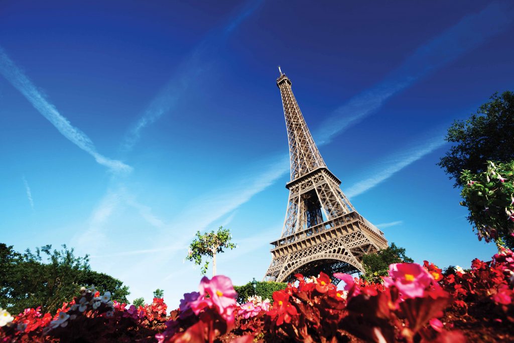 Cities_____Flowers_near_the_Eiffel_tower_088508_light